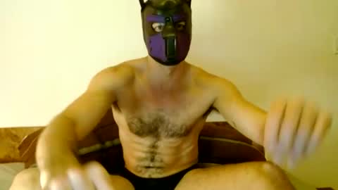 Snapshot of tuck_the_pup chatting on August 1, 6:23 am Tuck online show from August 1, 6:23 am