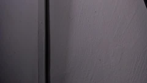 Turner online show from April 15, 12:23 pm