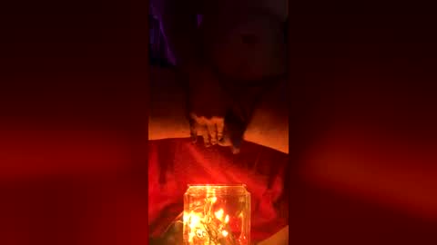 twe4kseeker online show from July 16, 3:23 am
