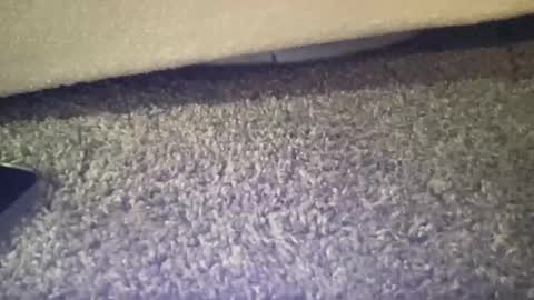 twinkgabe online show from February 16, 4:03 pm