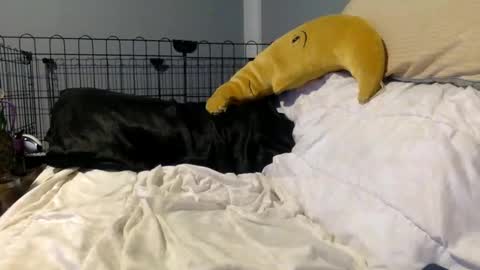 twinkybell online show from October 27, 4:27 am