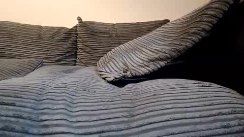 tyson2512 online show from February 19, 3:19 pm