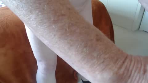 Uncle online show from April 21, 8:53 am