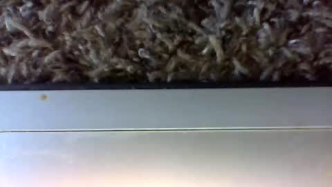 tele kuzhbuzh online show from January 24, 6:25 pm