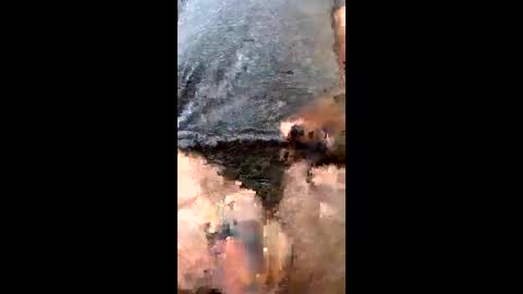 Uramajesty online show from March 19, 12:20 pm