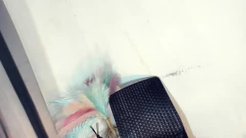 Snapshot of urasian_france69 chatting on June 27, 12:22 pm FRANCINE cum with me in pvt or pwrd online show from June 27, 12:22 pm