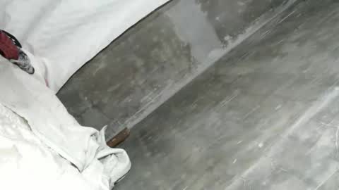 Ariana online show from February 8, 2:15 am