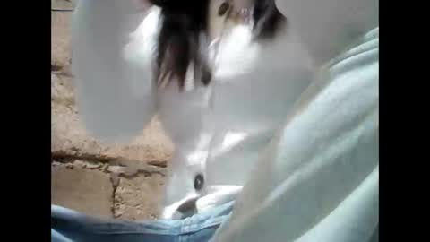 Aleah online show from November 25, 8:36 am