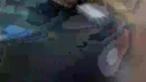 Snapshot of ursexybutt chatting on January 29, 10:48 am fiona online show from January 29, 10:48 am