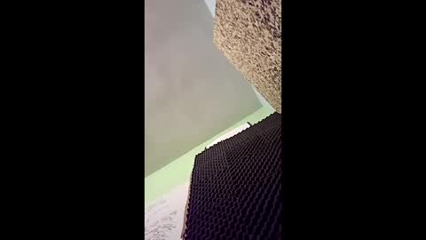 v3403454 online show from December 16, 11:54 pm