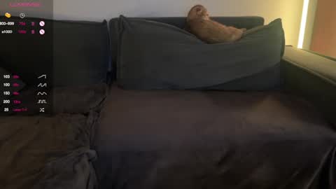 Snapshot of vaiee chatting on February 20, 7:52 pm Valery online show from February 20, 7:52 pm