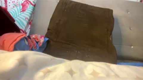 valencutt online show from February 26, 12:04 pm