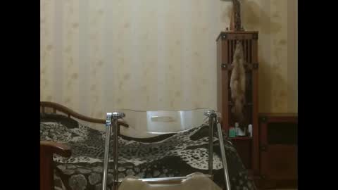 valentijm online show from April 17, 6:22 pm