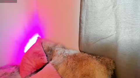 Snapshot of valery_kils chatting on May 11, 12:00 pm VALERY online show from May 11, 12:00 pm