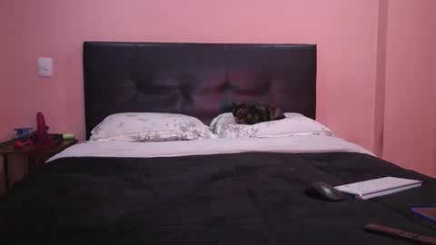 Vamp Noah and Dan online show from February 11, 1:49 pm