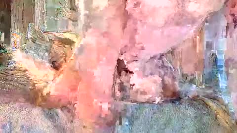 vanillasnackpack007 online show from February 3, 5:40 pm