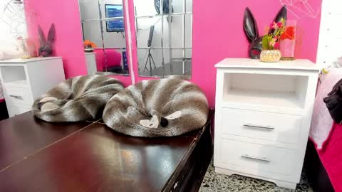 Vannellope online show from April 8, 12:27 pm