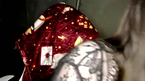 Var Kiss online show from February 14, 3:20 pm