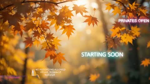 Snapshot of vegas_romance chatting on September 30, 2:16 am vegas_romance online show from September 30, 2:16 am
