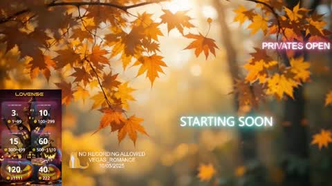 Snapshot of vegas_romance chatting on October 6, 12:19 am vegas_romance online show from October 6, 12:19 am