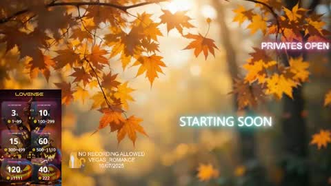 Snapshot of vegas_romance chatting on October 8, 1:36 am vegas_romance online show from October 8, 1:36 am
