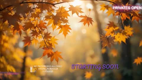 Snapshot of vegas_romance chatting on November 3, 11:59 pm vegas_romance online show from November 3, 11:59 pm