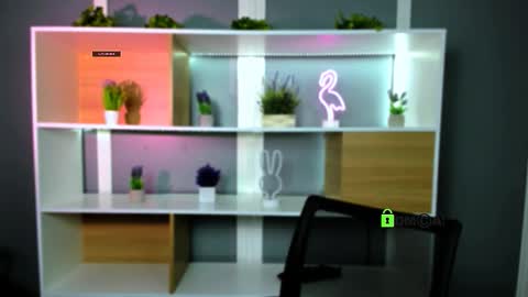 veldi_to online show from February 2, 7:34 pm