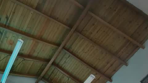 Snapshot of venus_flame chatting on November 29, 11:57 am VENUS online show from November 29, 11:57 am