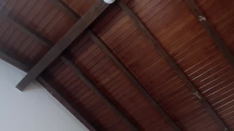 Venus Evans online show from February 4, 3:54 am