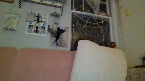 Snapshot of venuskisth chatting on January 9, 8:13 am venuskisth online show from January 9, 8:13 am