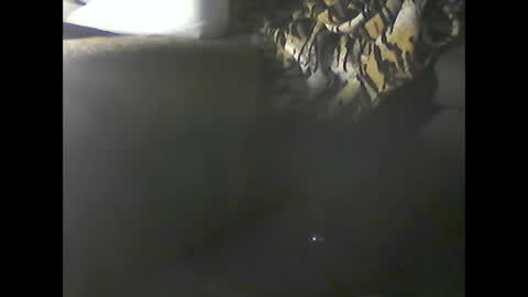 Im DanielVerdo  25 years old Lets have Fun and just ask what wanne know   tnew anal bigock cum  slave  fullnaked online show from December 20, 2:52 am