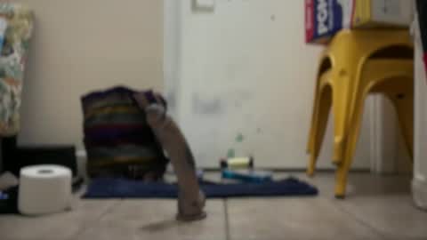 Snapshot of verona365 chatting on September 22, 2:02 am Hmartinez365 online show from September 22, 2:02 am