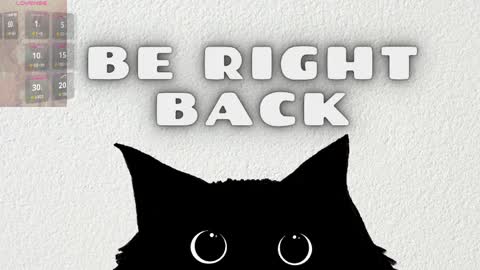 Anaya online show from April 10, 11:26 am