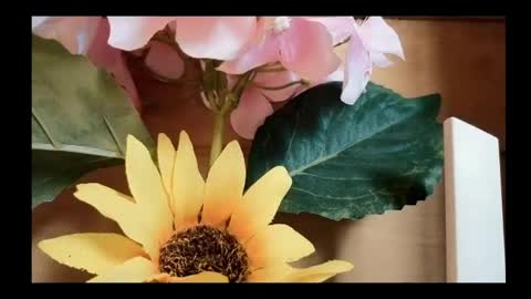 Snapshot of vickyvalencia2 chatting on May 4, 2:02 pm vickyvalencia2 online show from May 4, 2:02 pm