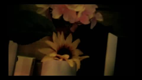 Snapshot of vickyvalencia2 chatting on May 5, 2:30 am vickyvalencia2 online show from May 5, 2:30 am