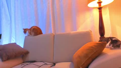 Snapshot of viiolet_collins chatting on June 15, 2:25 am VIOLET online show from June 15, 2:25 am
