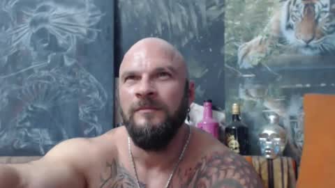 viking online show from September 15, 6:41 pm