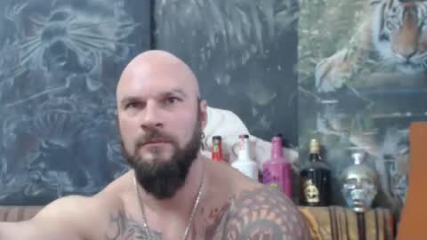 viking online show from November 28, 8:06 am