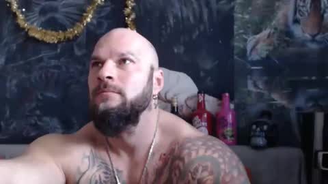 viking online show from February 1, 8:02 am