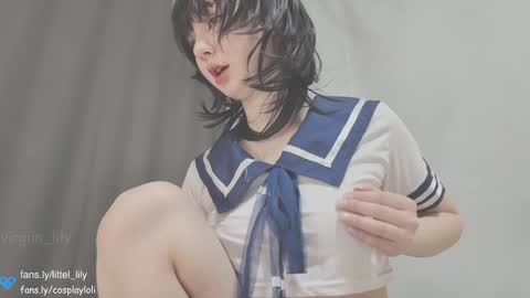 Snapshot of virgiin_lily chatting on December 22, 2:49 pm  Lily  online show from December 22, 2:49 pm