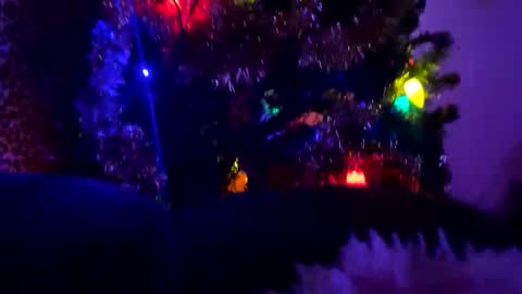 Vivi online show from January 11, 11:43 pm