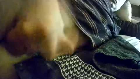 Snapshot of vleeslollie2024 chatting on January 13, 7:21 am vleeslollie2024 online show from January 13, 7:21 am