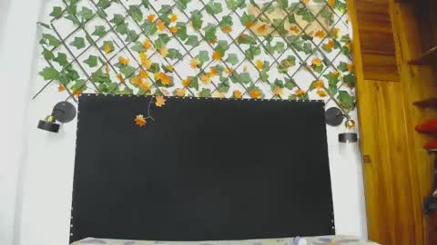 Snapshot of vskayper chatting on April 28, 2:55 pm skay online show from April 28, 2:55 pm