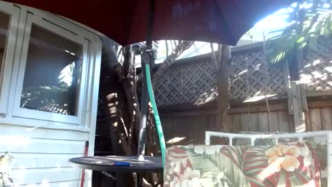 Snapshot of vtcd chatting on February 6, 9:28 pm vtcd online show from February 6, 9:28 pm