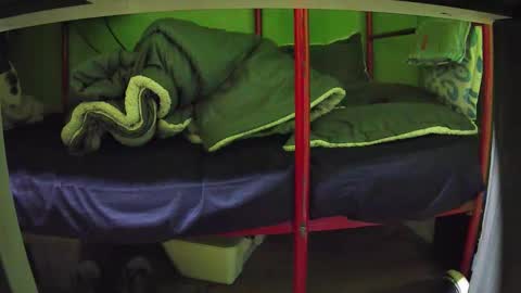 Kentaro online show from March 24, 5:01 am