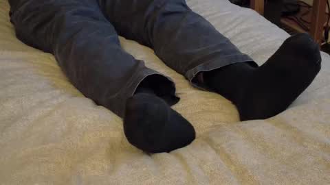 Snapshot of waltsobchak chatting on January 15, 3:44 am I love the ol in-n-out online show from January 15, 3:44 am