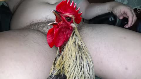 Snapshot of watcher_9 chatting on December 24, 11:33 pm classified online show from December 24, 11:33 pm