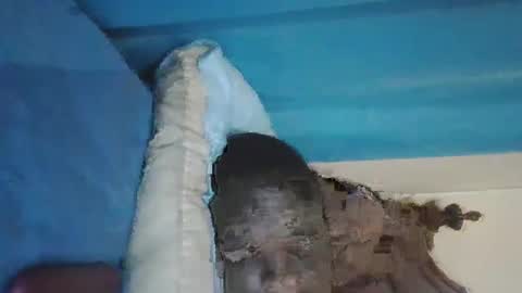 wetcock44 online show from December 3, 3:41 am