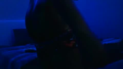wetwildbigdick305 online show from February 3, 10:36 am