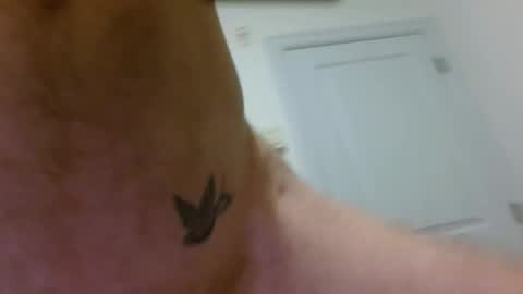 Snapshot of whisky_jam chatting on November 28, 12:57 am whisky_jam online show from November 28, 12:57 am